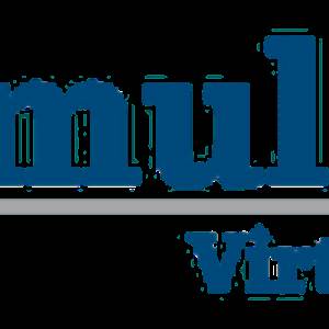 multisoftvirtualacademy Anshu